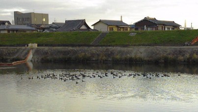 121202_03a.jpg
