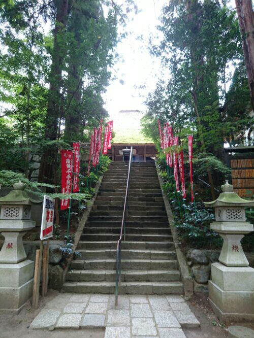 rblog-20170124232012-06.jpg