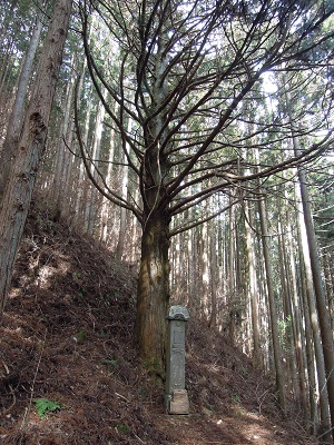 DSCN6344s.jpg