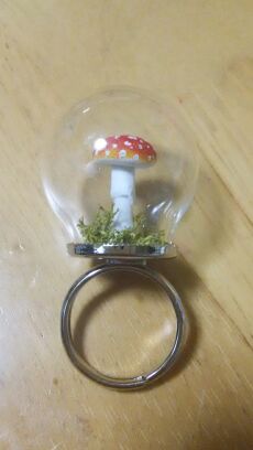 rblog-20150114200747-01.jpg