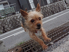 conv0564.JPG