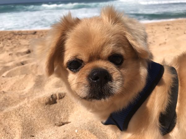rblog-20190217221111-00.jpg