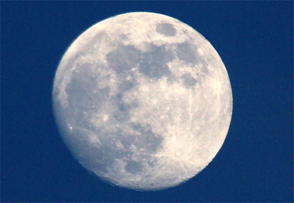 IMG_0773 ７月２日19時頃.jpg