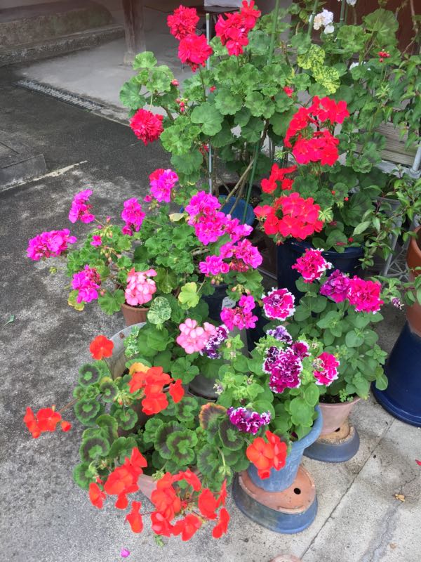 rblog-20180523092310-01.jpg