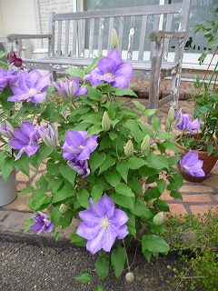 P1020094ss.jpg