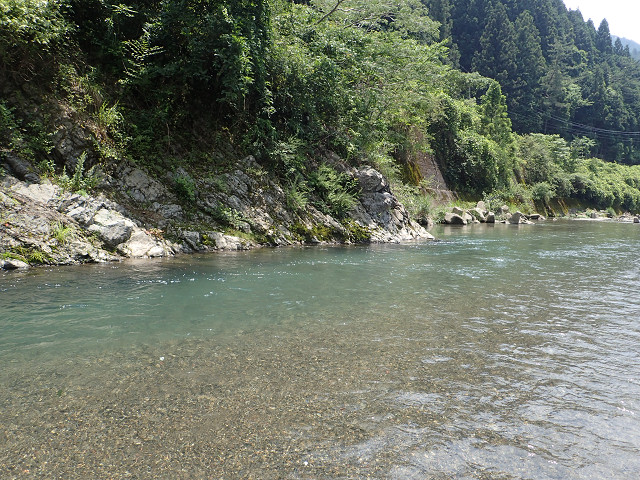 resize0005.jpg