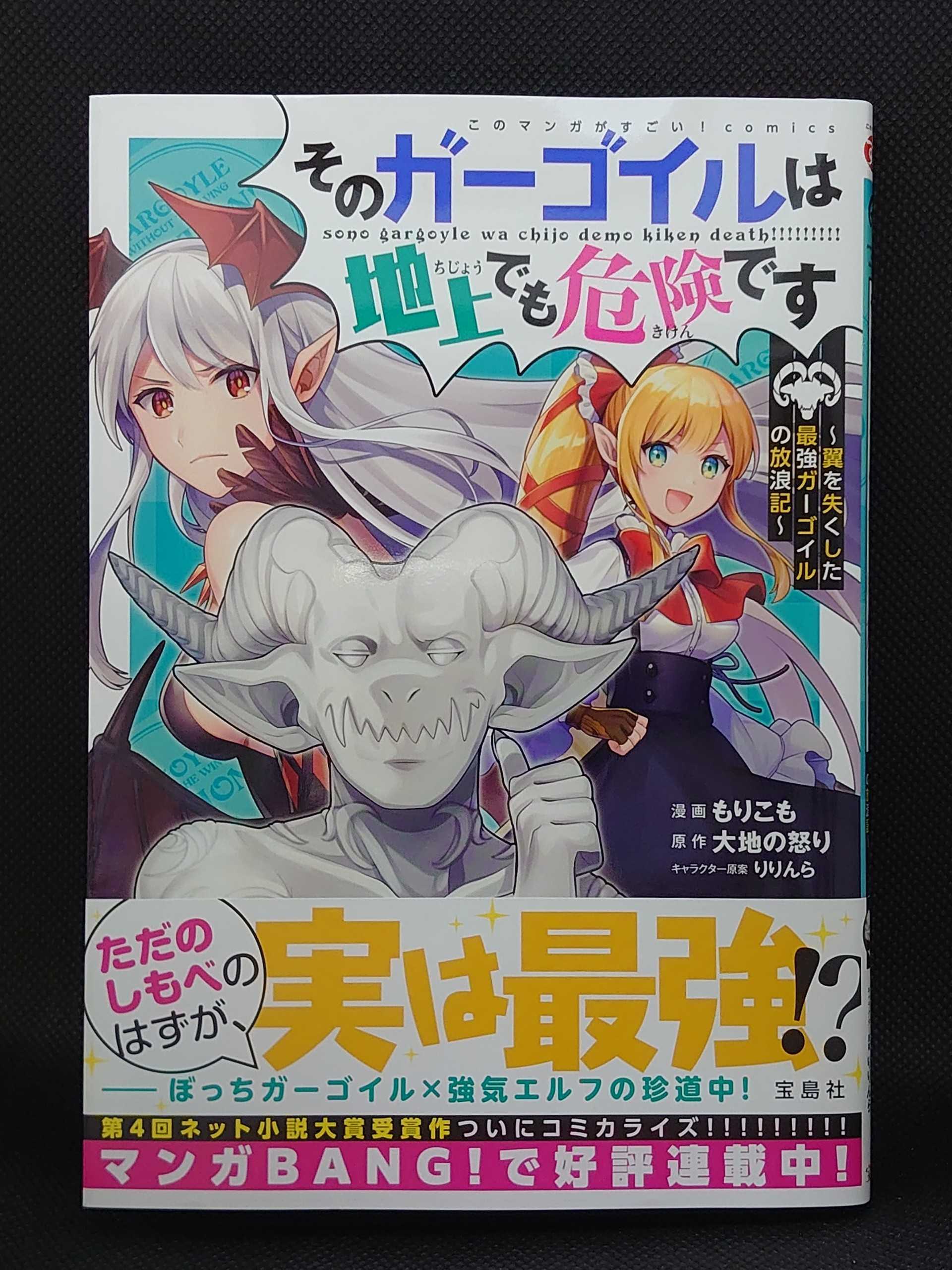 今日の１冊 ４４５日目 その２ そのガーゴイルは地上でも危険です 翼を失くした最強ガーゴイルの放浪記 異世界ジャーニー どうしても行きたい 楽天ブログ