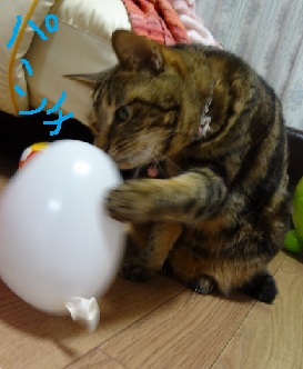 ふうせん１.jpg