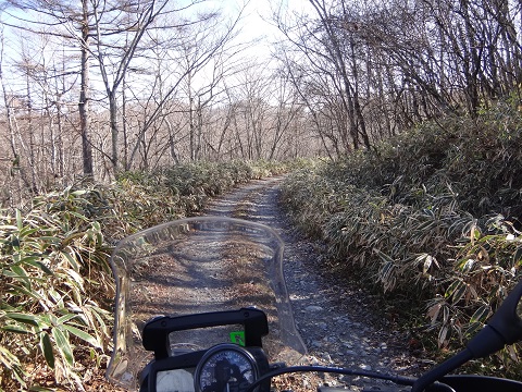 DSC00172.JPG