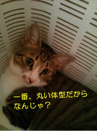 20120801_4.jpg