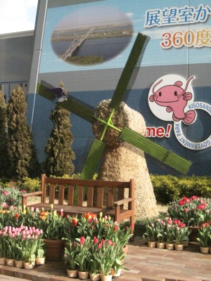 7.JPG