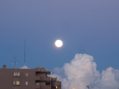 IMG_9637.JPG