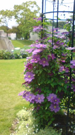 20120531124703.jpg