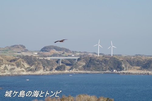 城ケ島の光景