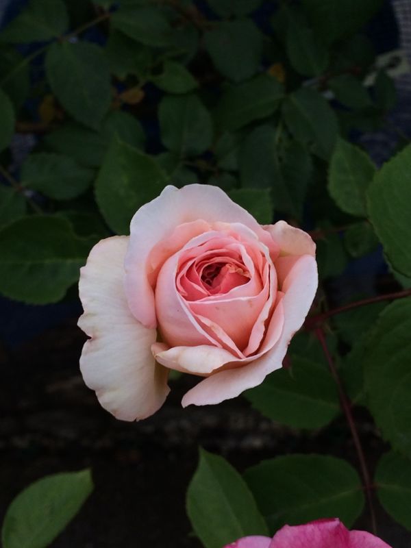 rblog-20140514111850-01.jpg