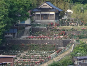 萬国屋79.jpg