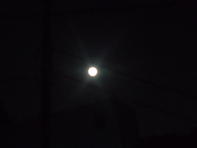 CA3F0005.jpg