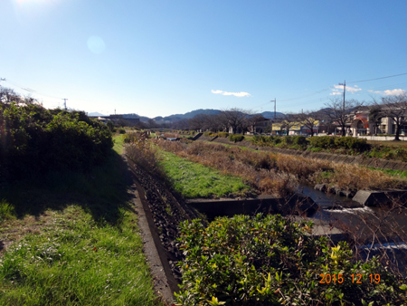 南浅川１.jpg