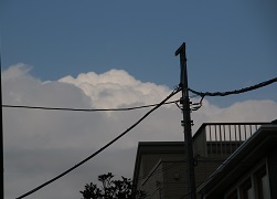 IMG_2273-26.jpg