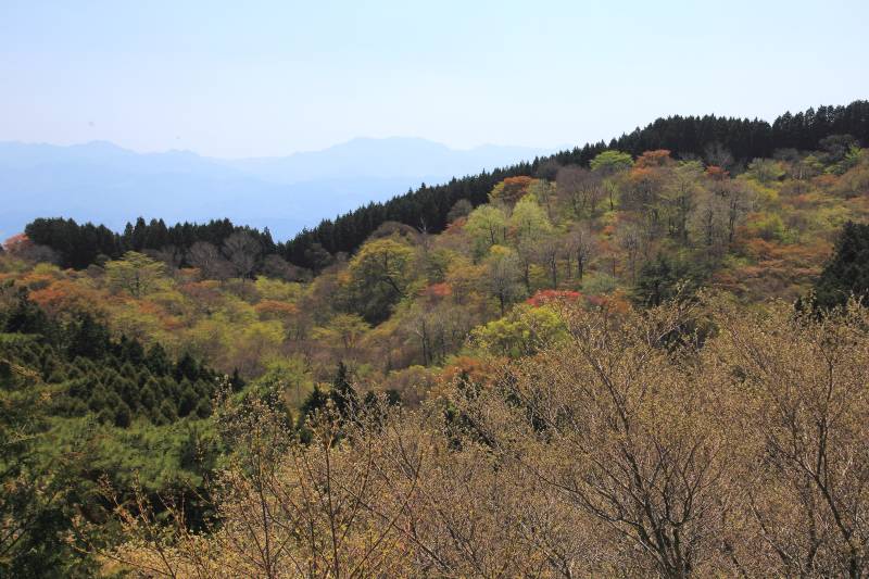 金剛山_002.jpg