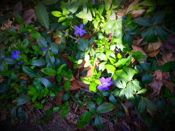 rblog-20150331200250-01.jpg