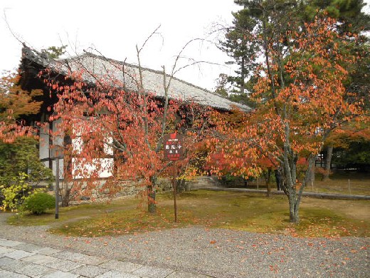 2015-11-22 広隆寺・太子堂.jpg