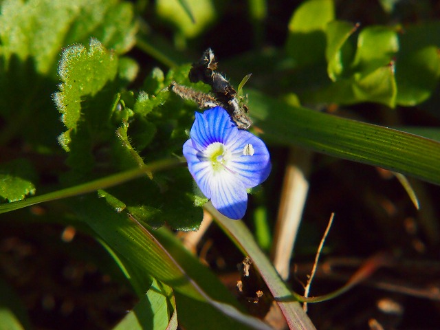 P1030360.jpg