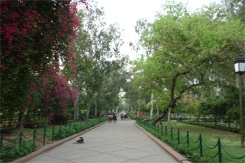 インド1030.jpg