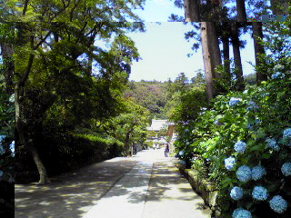 北鎌倉円覚寺坂道2012年７月