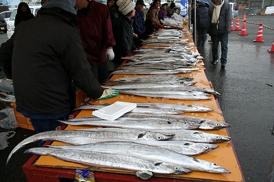 IMG_2355.jpg