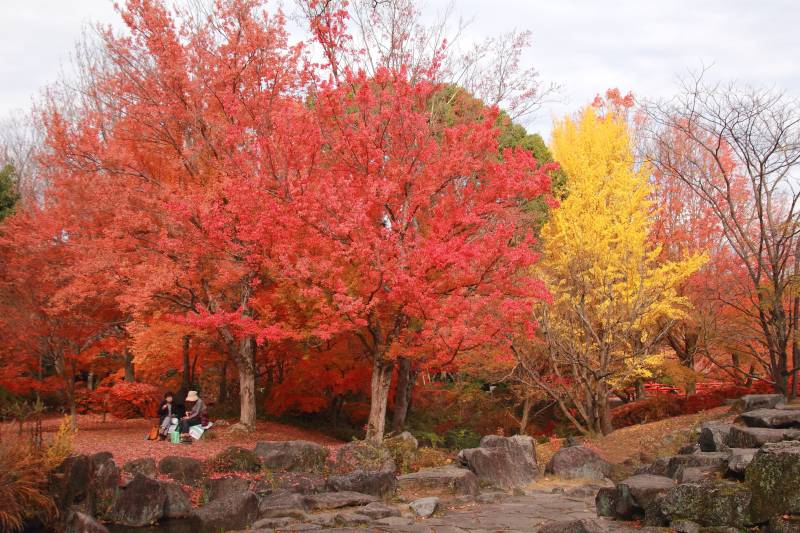 万博記念公園_004.jpg