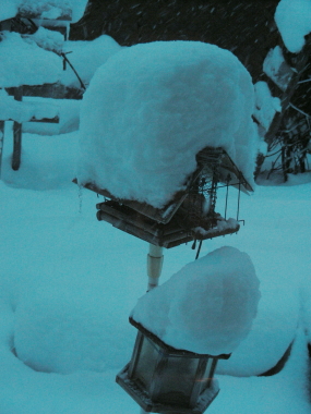 2017-11-26snow (1).JPG