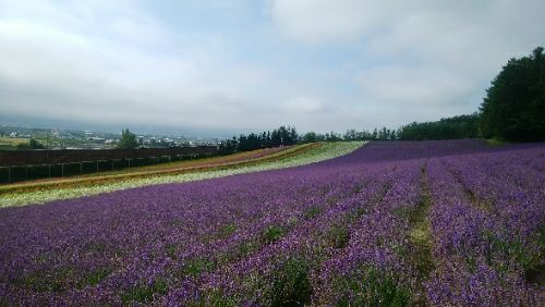 rblog-20180727072353-00.jpg