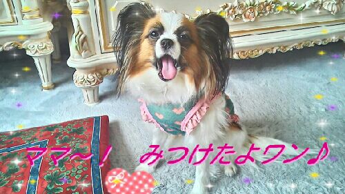 rblog-20150517204339-03.jpg