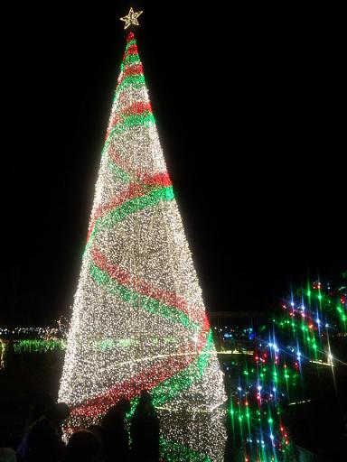 DSC_0679.jpg