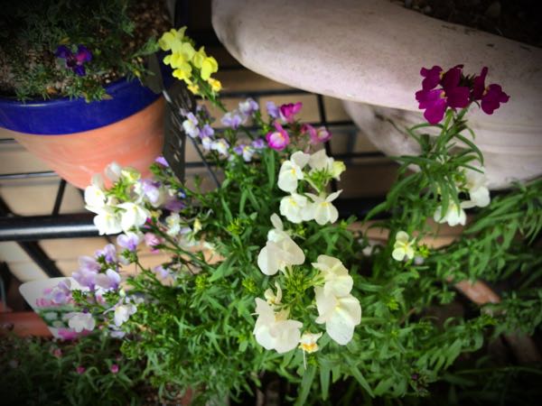 rblog-20161231162917-01.jpg