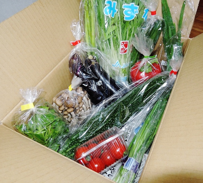 九州野菜 (4).JPG