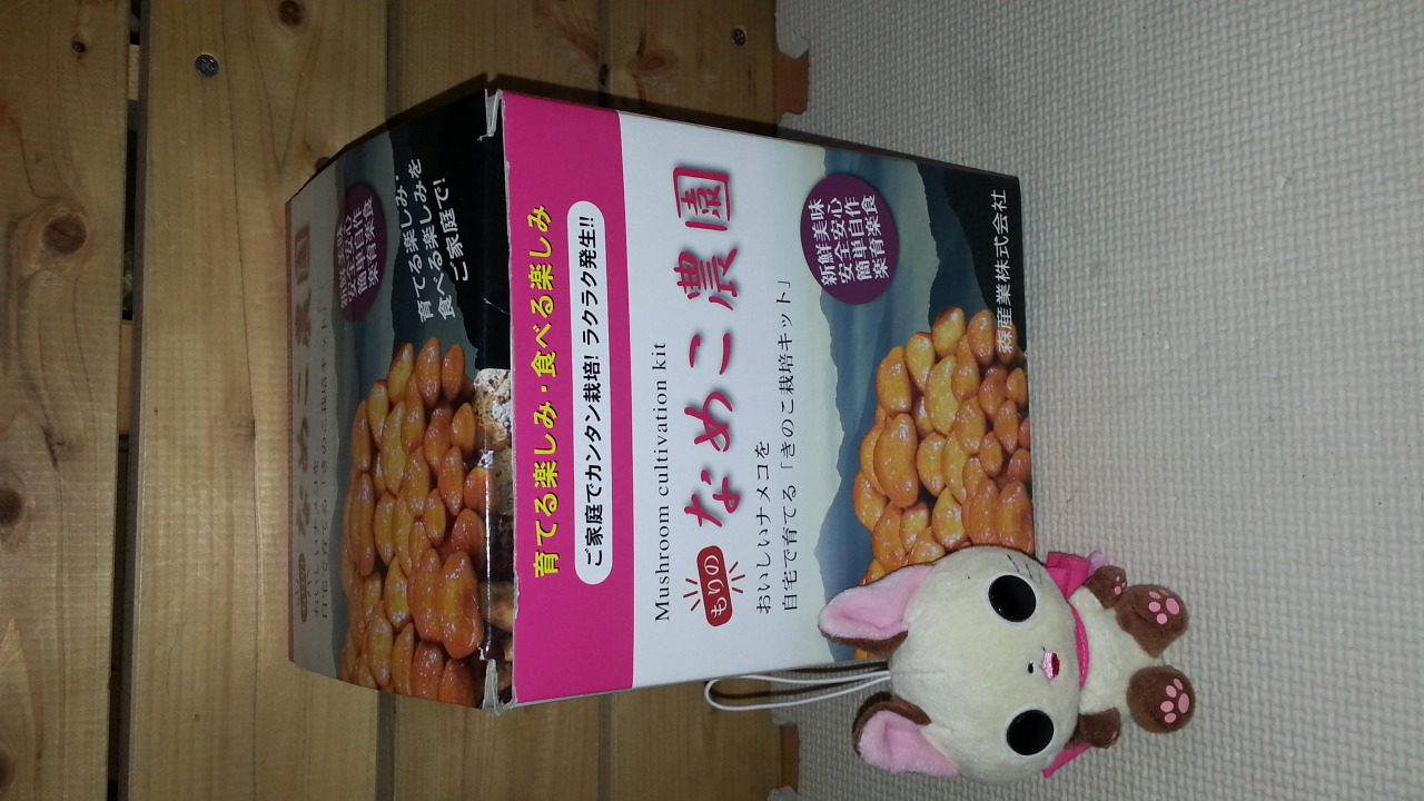もりのなめこ農園もり