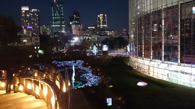 2015-11-28 17.07.35.jpg
