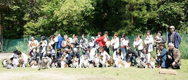 DSC02687.jpg