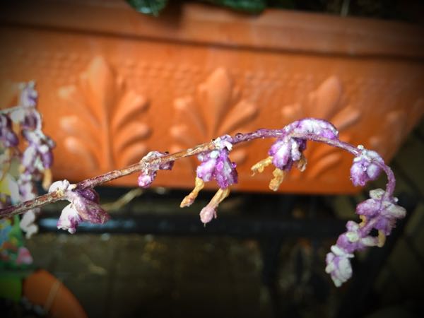 rblog-20150222132411-01.jpg
