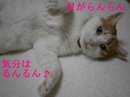 maruko
