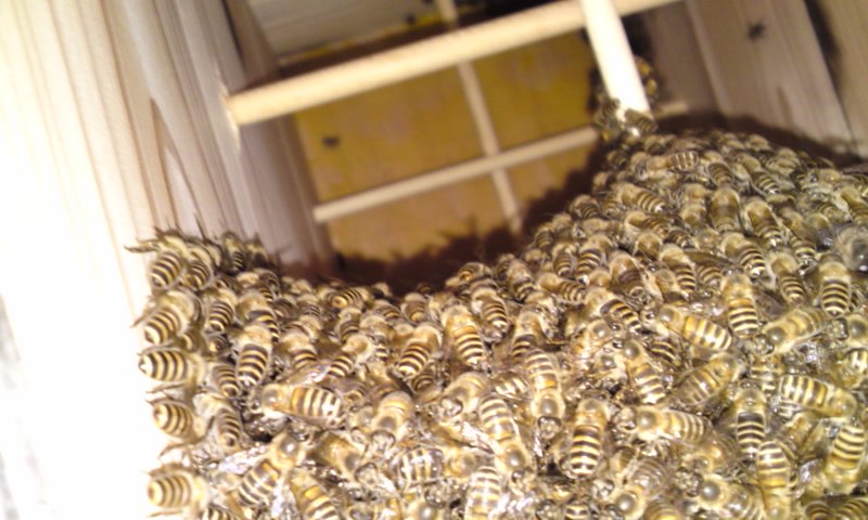 120513_1724~01.jpg