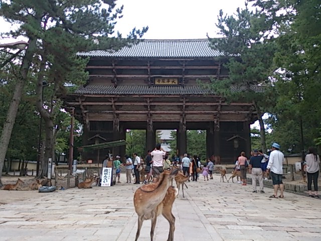 nara2