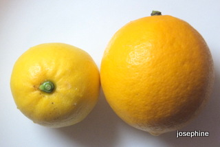 DSCF5575.JPG