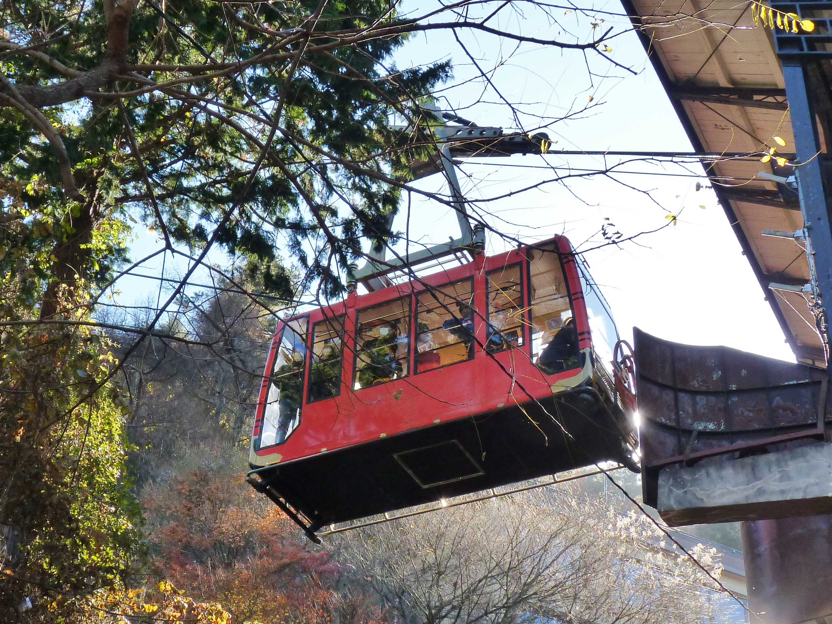 初めて気が付いた事実 頭の中はロープウェイ! 楽天ブログ