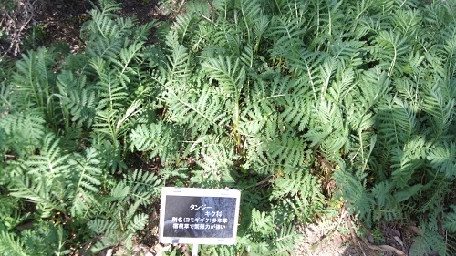 122.JPG