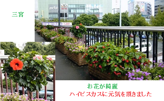 健康診断、.png