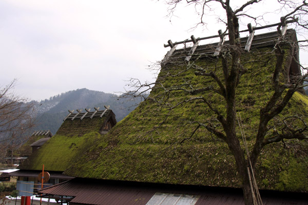 IMG_9881 のコピー.jpg