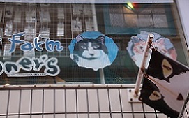 IMG_3657-3.jpg